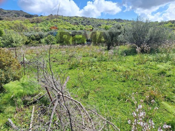 terreno agricolo in vendita a Pollina