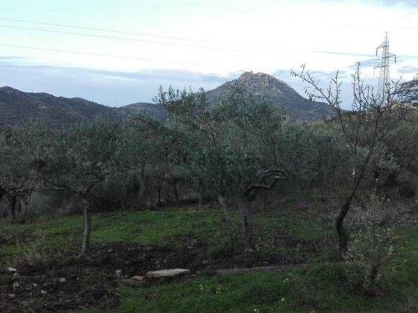 terreno agricolo in vendita a Pollina