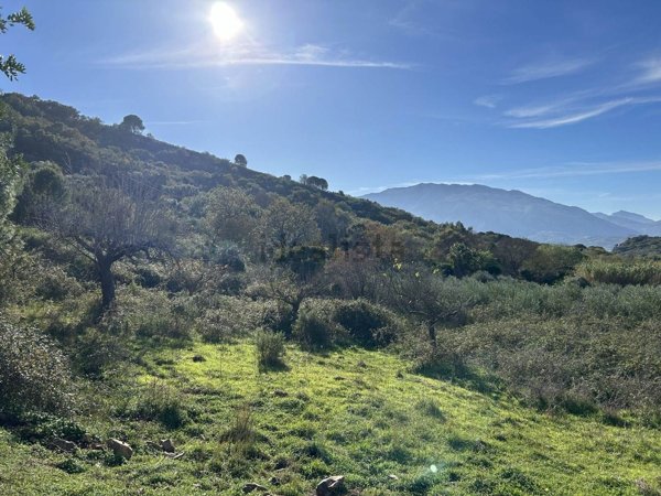 terreno in vendita a Pollina