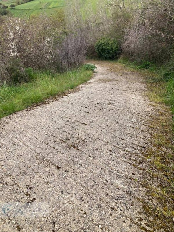 terreno agricolo in vendita a Prizzi