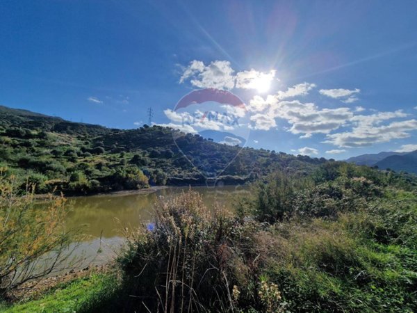terreno agricolo in vendita a San Mauro Castelverde
