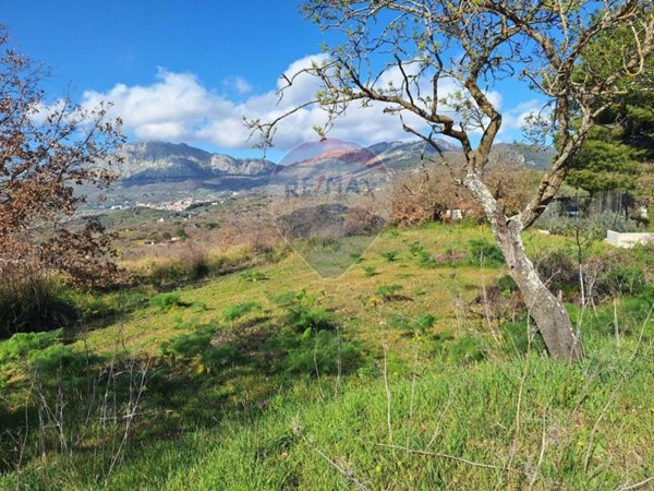 terreno agricolo in vendita a Santa Cristina Gela