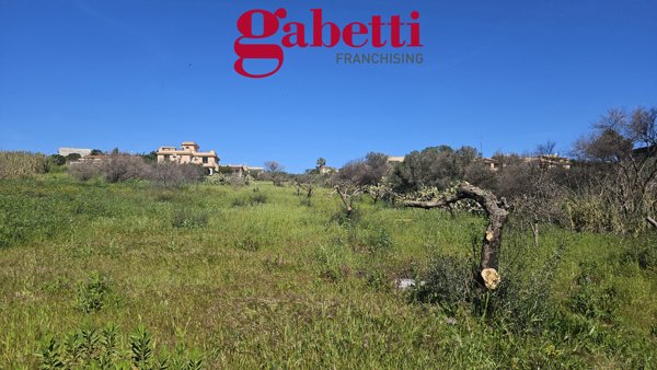 terreno agricolo in vendita a Santa Flavia