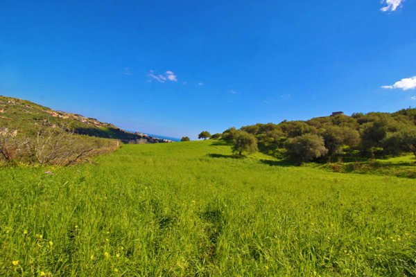 terreno agricolo in vendita a Santa Flavia