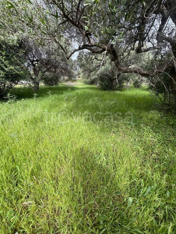 terreno agricolo in vendita a Santa Flavia