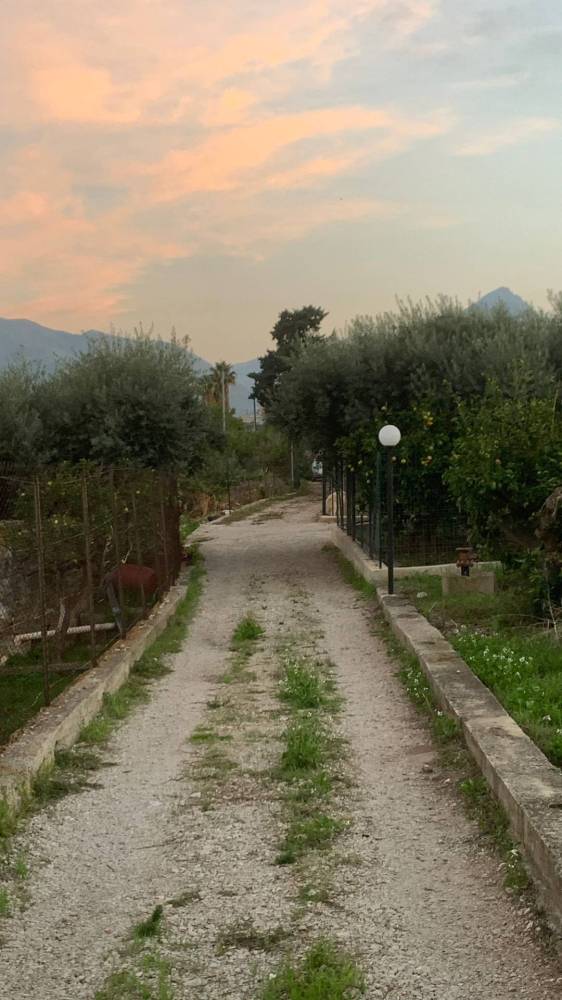 terreno agricolo in vendita a Santa Flavia