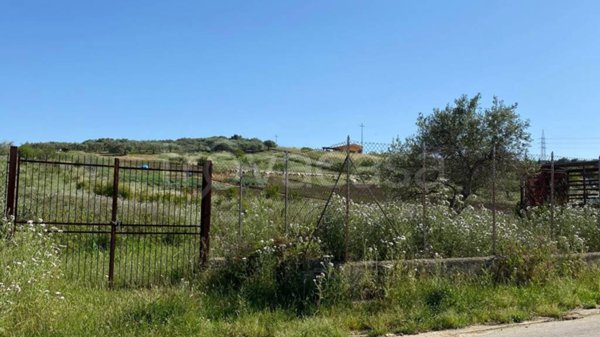 terreno agricolo in vendita a Santa Flavia