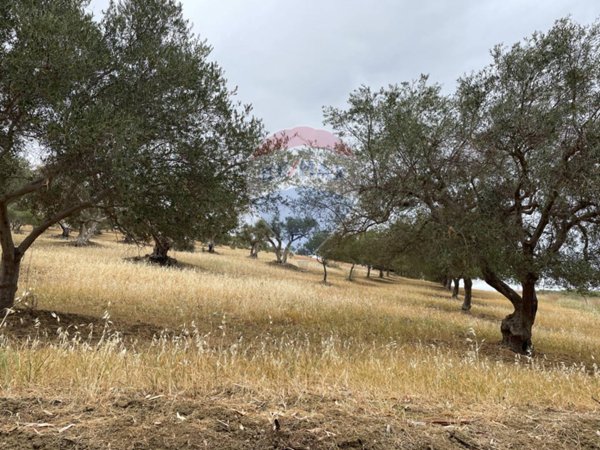 terreno agricolo in vendita a Santa Flavia