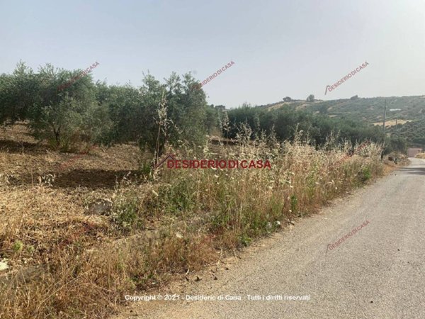 terreno agricolo in vendita a Santa Flavia
