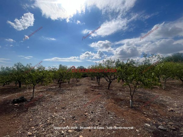 terreno agricolo in vendita a Santa Flavia