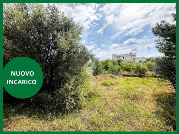 terreno agricolo in vendita a Santa Flavia