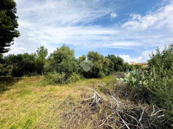 terreno agricolo in vendita a Santa Flavia