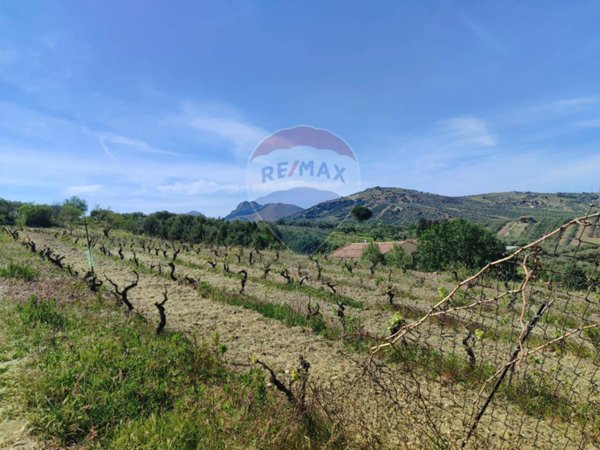 terreno agricolo in vendita a Santa Flavia
