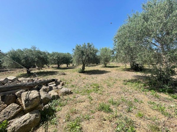 terreno agricolo in vendita a Santa Flavia