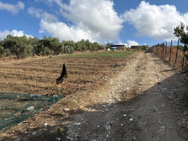 terreno agricolo in vendita a Santa Flavia