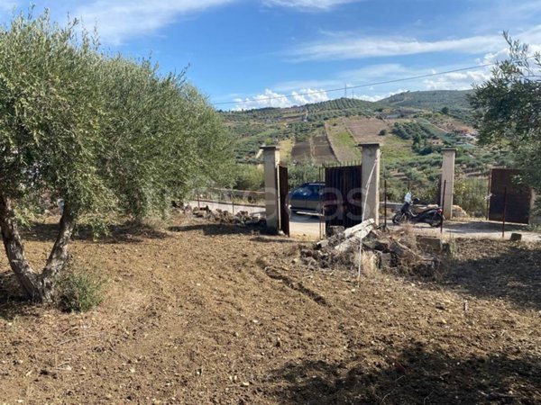 terreno agricolo in vendita a Santa Flavia