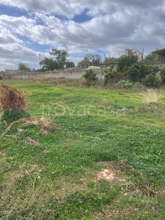 terreno agricolo in vendita a Santa Flavia