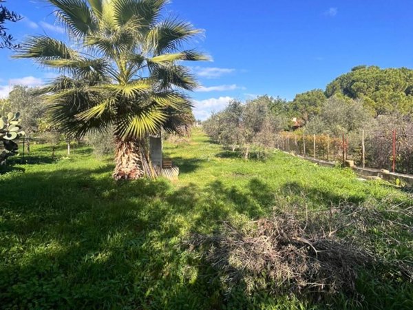 casa indipendente in vendita a Santa Flavia