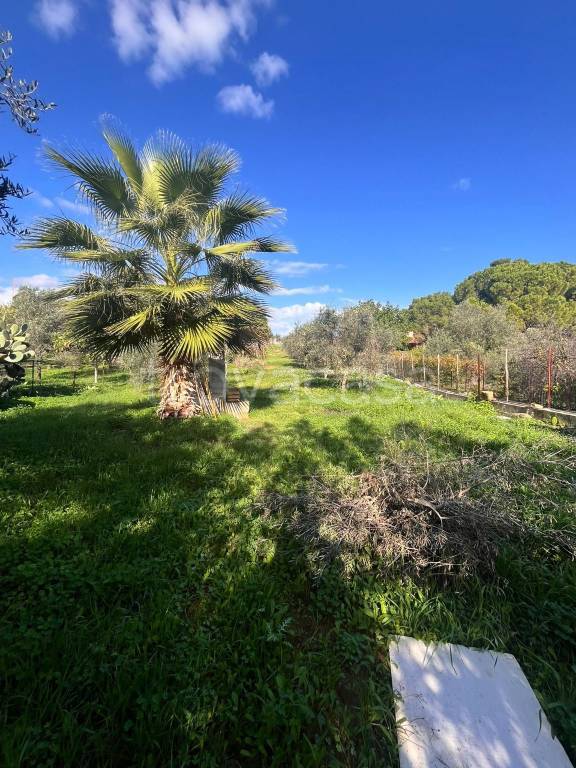 terreno agricolo in vendita a Santa Flavia