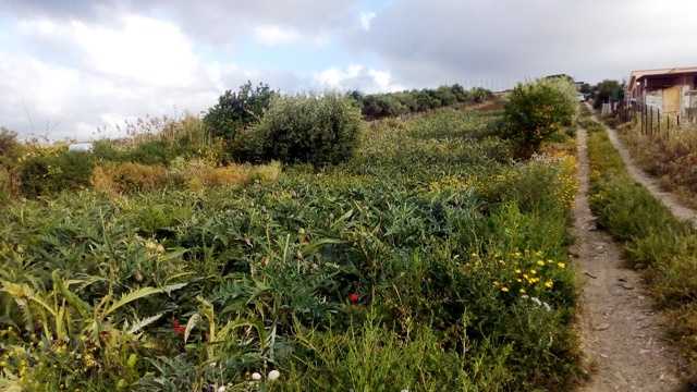 terreno edificabile in vendita a Santa Flavia