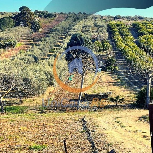 terreno agricolo in vendita a Santa Flavia