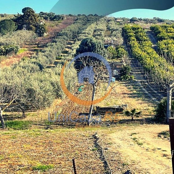 terreno agricolo in vendita a Santa Flavia