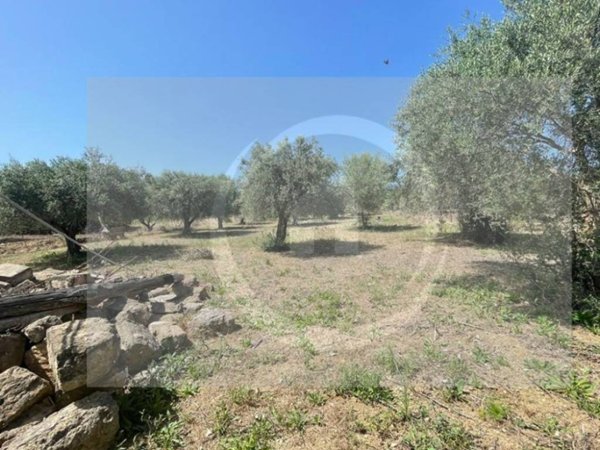 terreno agricolo in vendita a Santa Flavia