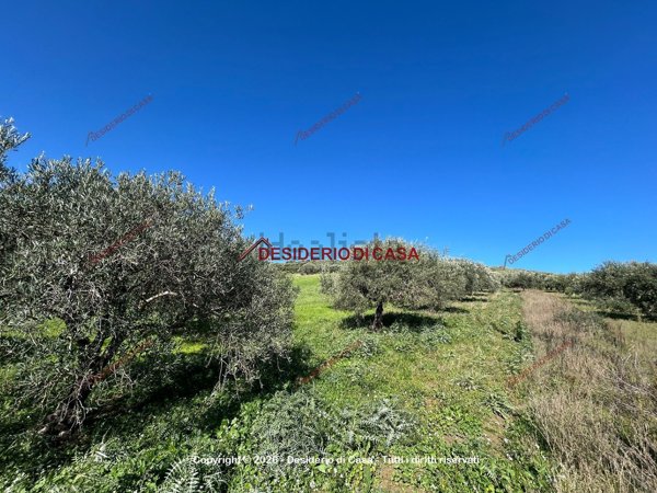 terreno edificabile in vendita a Santa Flavia