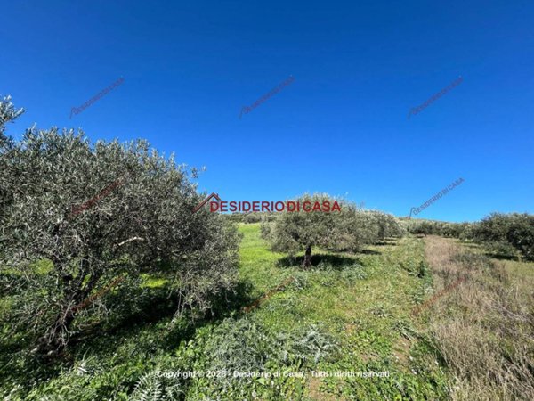 terreno agricolo in vendita a Santa Flavia
