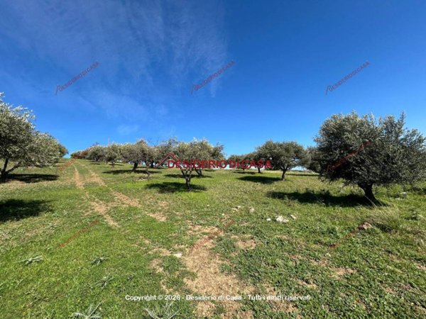 terreno agricolo in vendita a Santa Flavia