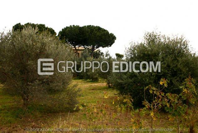 terreno agricolo in vendita a Santa Flavia