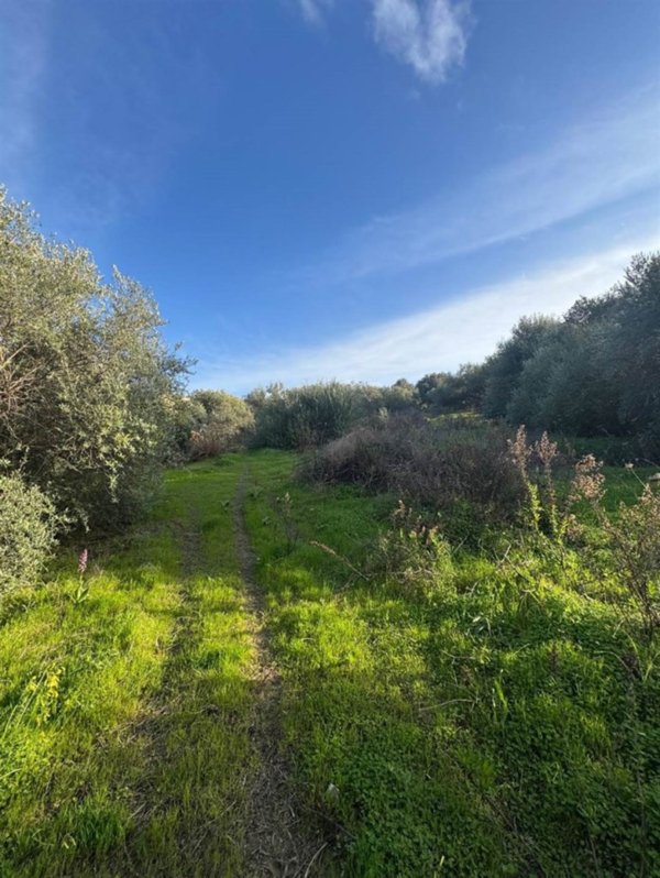 terreno edificabile in vendita a Santa Flavia