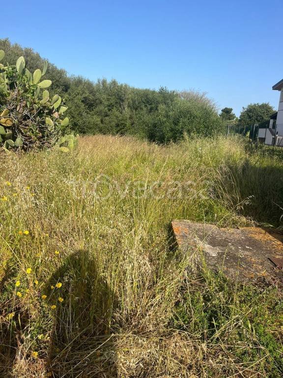 terreno agricolo in vendita a Santa Flavia