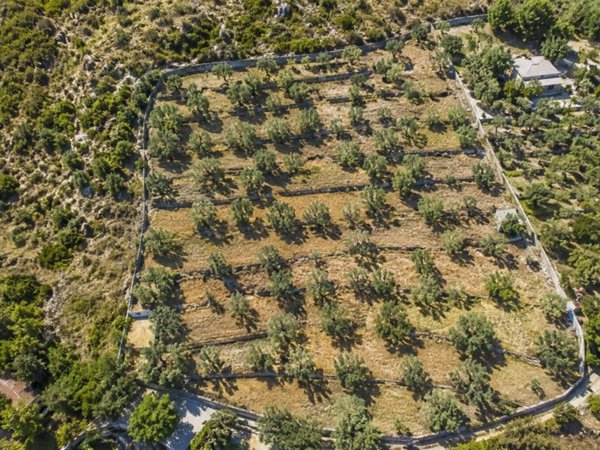 terreno agricolo in vendita a Santa Flavia