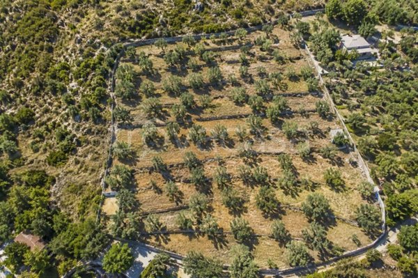 terreno agricolo in vendita a Santa Flavia
