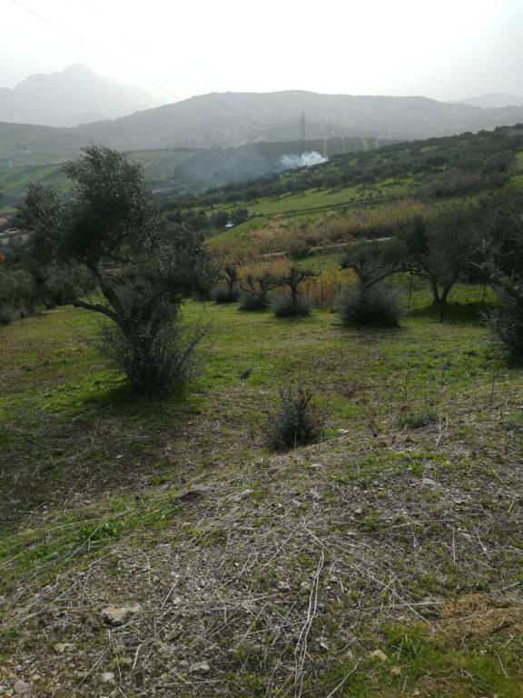 terreno agricolo in vendita a Santa Flavia