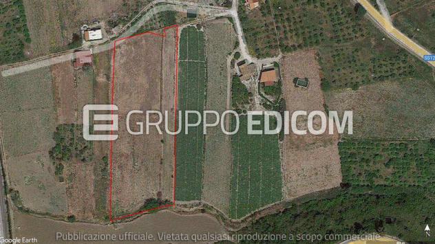 terreno agricolo in vendita a Sciara