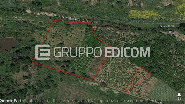 terreno agricolo in vendita a Sciara