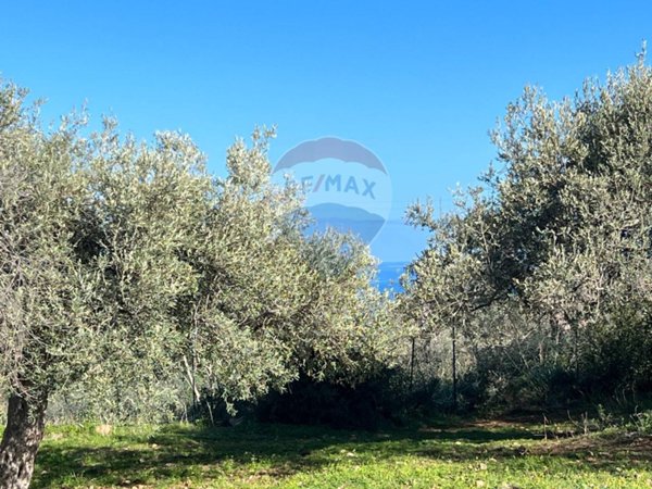 terreno agricolo in vendita a Termini Imerese