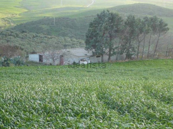 terreno agricolo in vendita a Termini Imerese