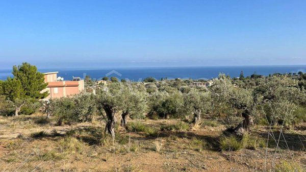 terreno agricolo in vendita a Termini Imerese