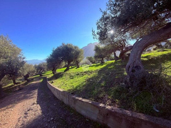 casa indipendente in vendita a Termini Imerese