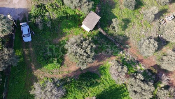 casa indipendente in vendita a Termini Imerese