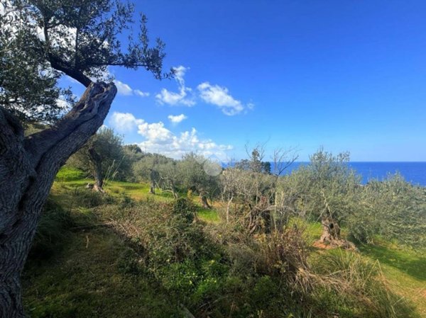 terreno agricolo in vendita a Termini Imerese