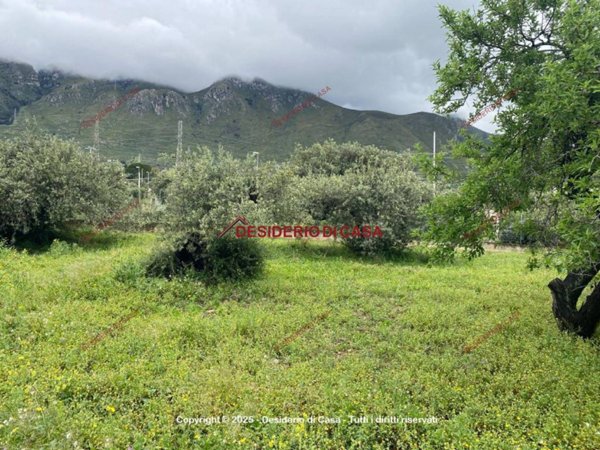 terreno agricolo in vendita a Termini Imerese