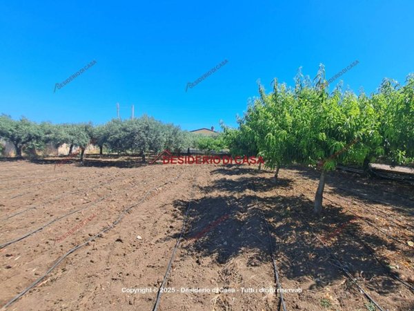 terreno agricolo in vendita a Termini Imerese