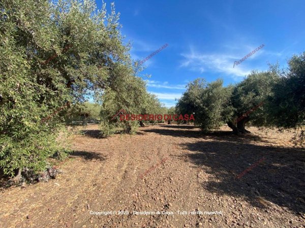 terreno agricolo in vendita a Termini Imerese