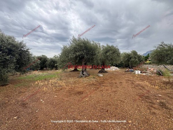 terreno agricolo in vendita a Termini Imerese