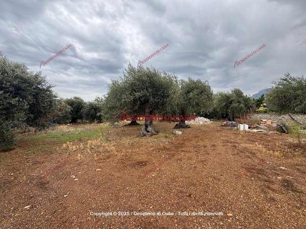 terreno edificabile in vendita a Termini Imerese