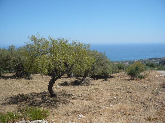 appartamento in vendita a Termini Imerese